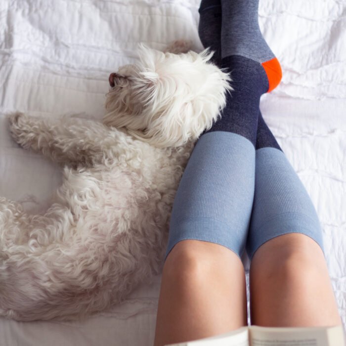Persona descansando en la cama leyendo un libro con perro al lado y medias de compresion en algodon diseno bloques Athlon Ref CMO209